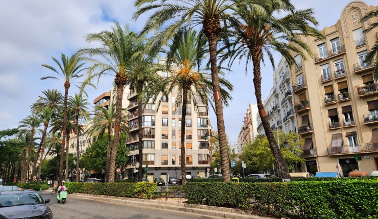 Sounds of the&nbsp;City