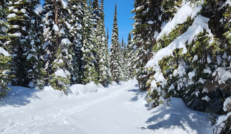 Travel Days and Me&nbsp;Time