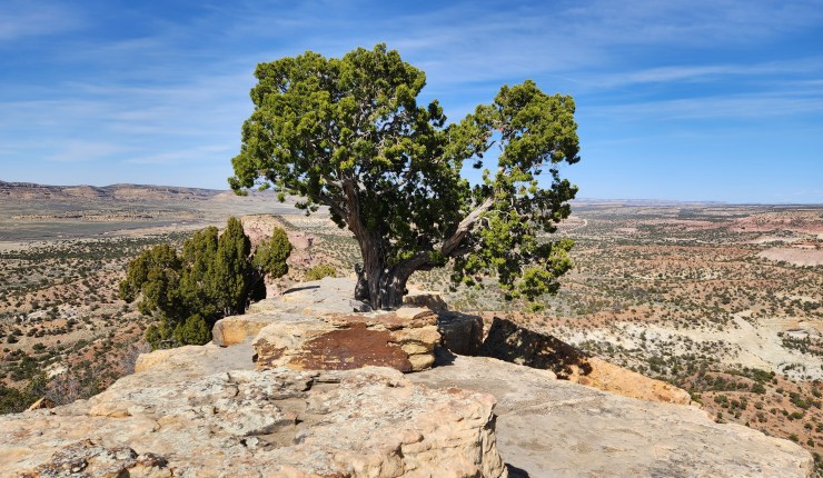 The Day of Closed&nbsp;Doors