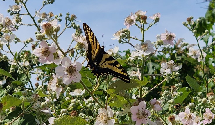 Nomad Life: How Did I Get&nbsp;Here?