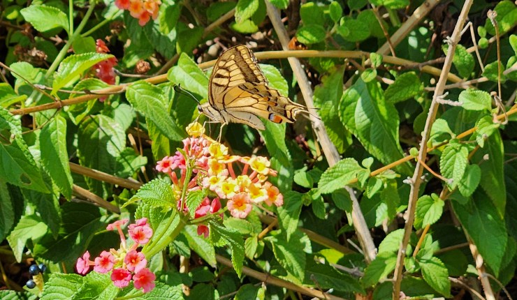 There Are No Busses on&nbsp;Sundays